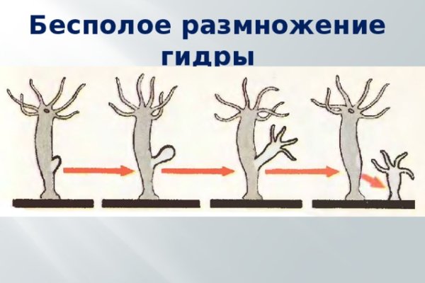 Кракен сайт в тор браузере ссылка скачать